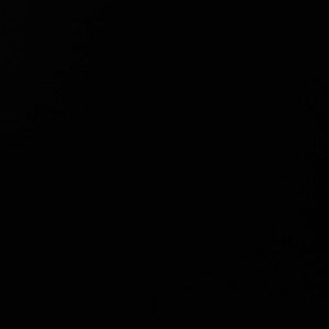 Meet your Posher, Caitlyn